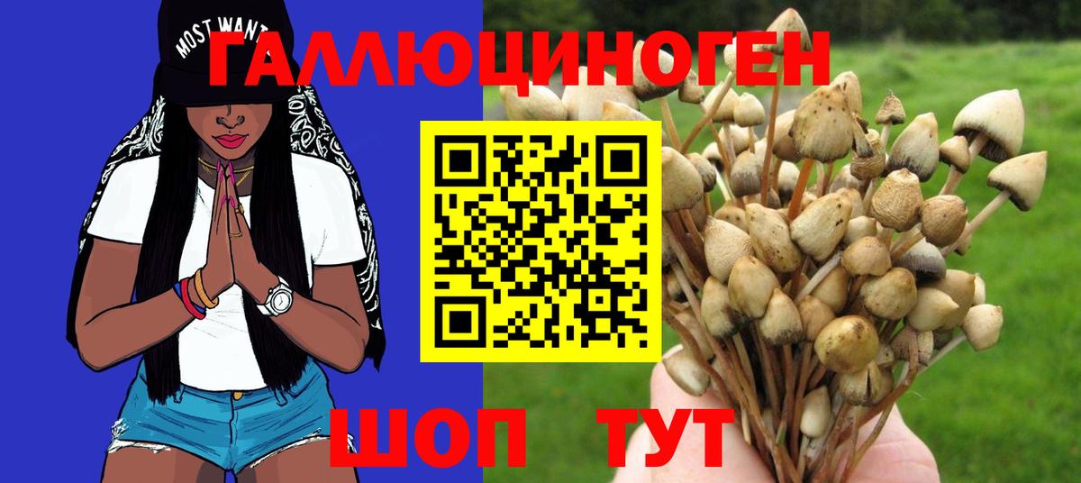 Псилоцибиновые грибы ЛСД  Вход с VPN  Нурлат  Псилоцибиновые грибы мухоморы 