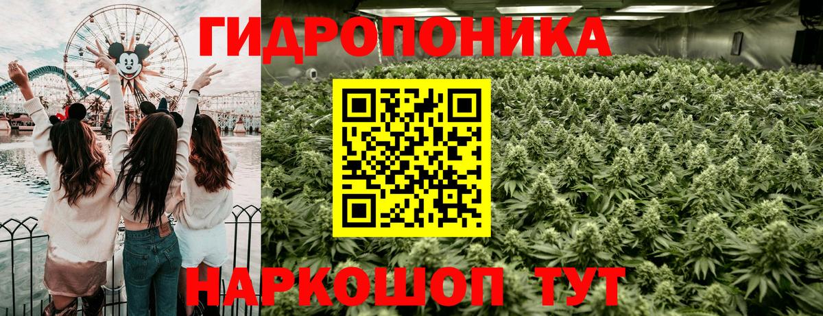 Бошки Шишки планчик Нурлат